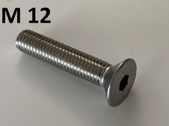 inbusbout conisch M12