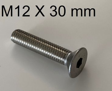verzinkt inbusbout conisch M12 X 30 mm